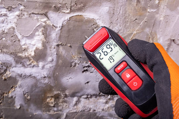 Best Commercial Mold Removal  in Sausalito, CA