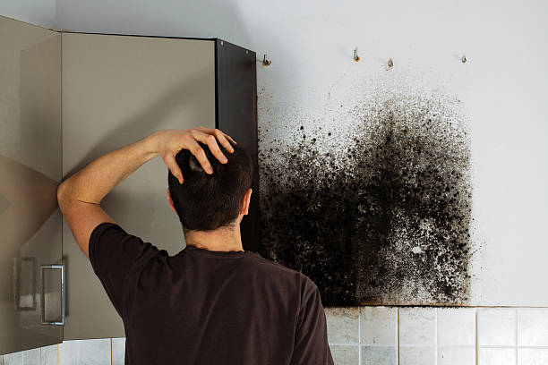 Best Certified Mold Removal  in Sausalito, CA